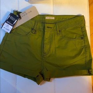 Asparagus  color Burberry shorts for women